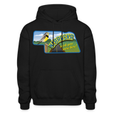 Nebraska Whimsical State Logo Heavy Blend Adult Hoodie - black
