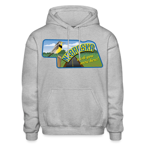 Nebraska Whimsical State Logo Heavy Blend Adult Hoodie - heather gray