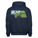 Nebraska Whimsical State Logo Heavy Blend Adult Hoodie - navy